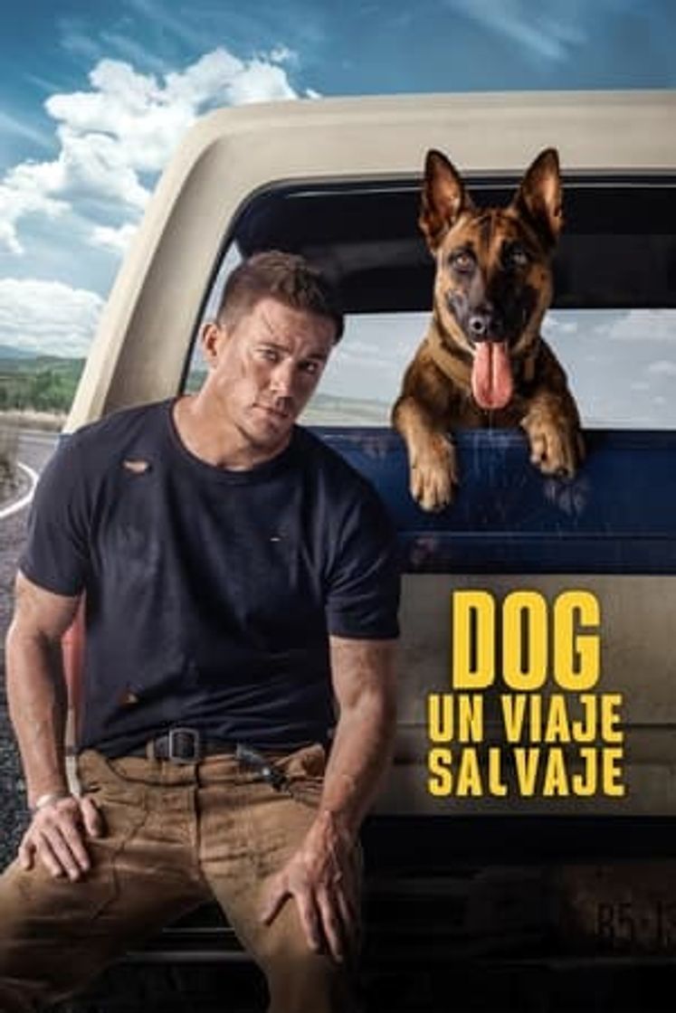 Movie Dog - Un viaje salvaje