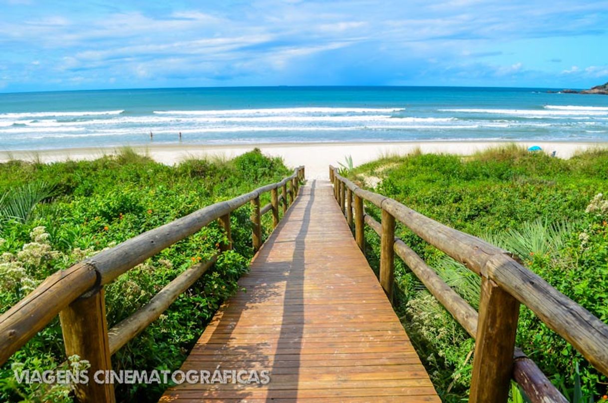 Place Praia do Rosa - Imbituba/SC