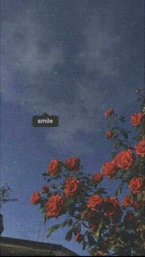 Smile (: