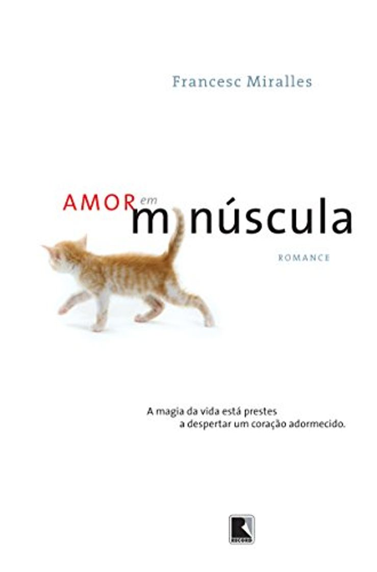Book Amor Em Minúscula