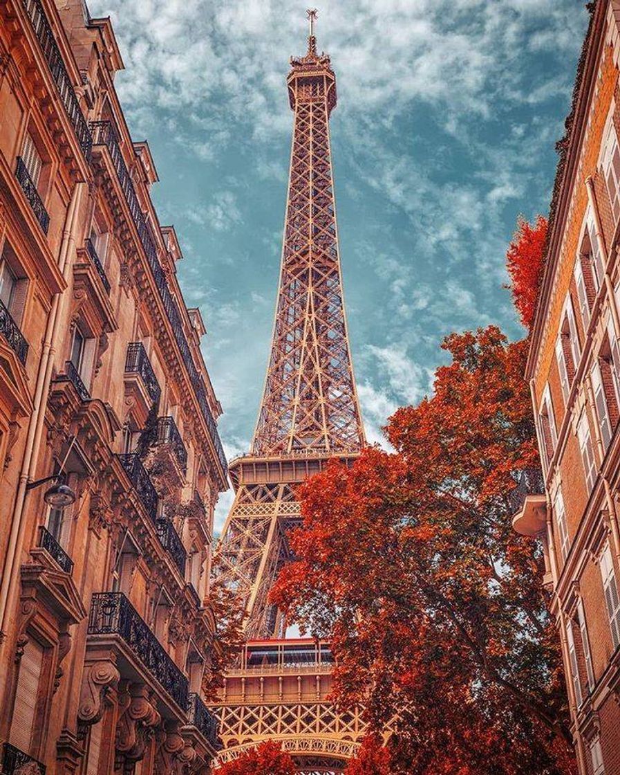 Social Paris 🗼