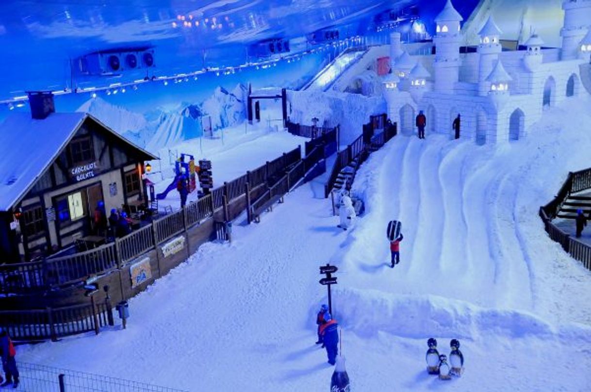 Place Snowland