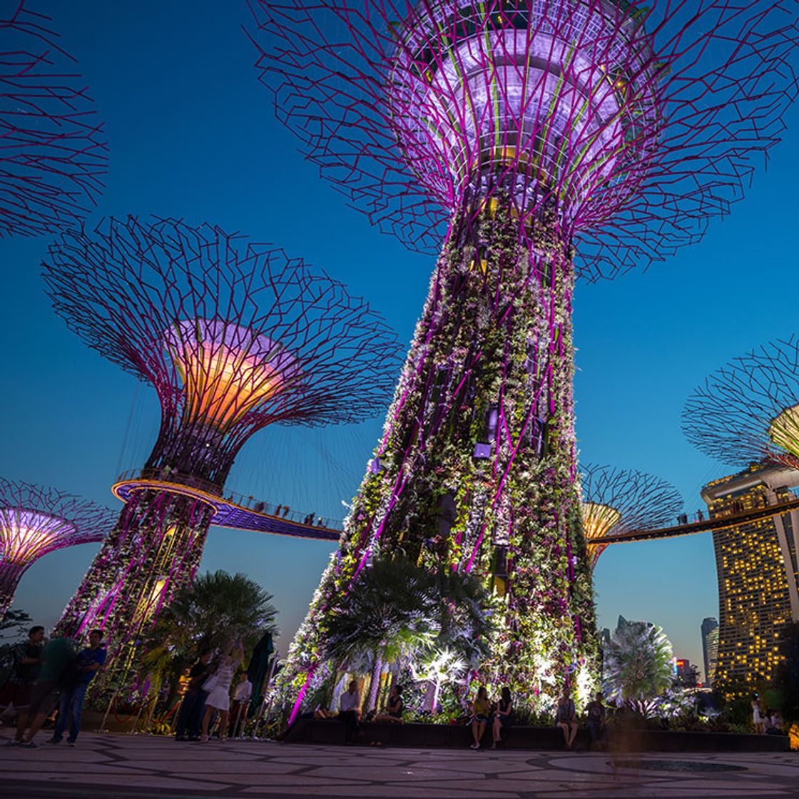 Lugar Singapur