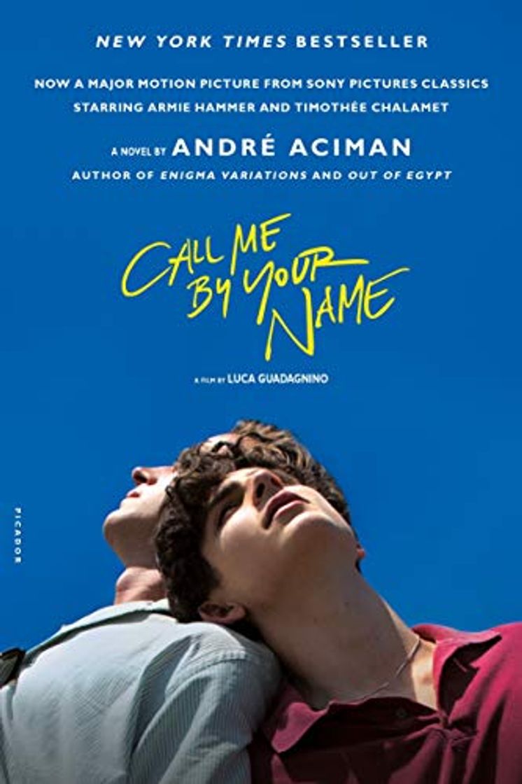 Book Call Me By Your Name