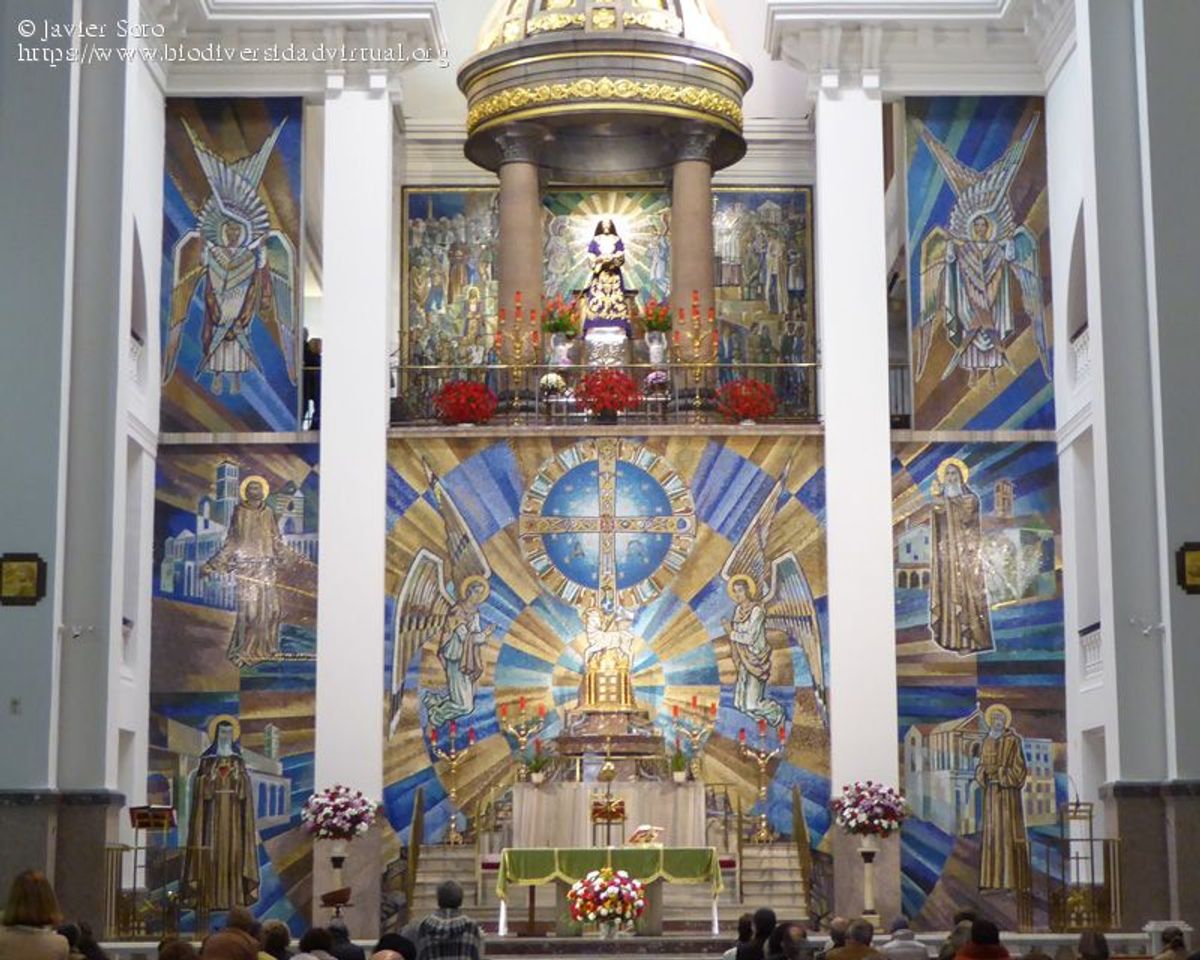 Lugar Basílica de Jesús de Medinaceli