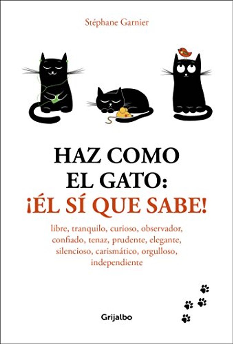 Libros Haz como el gato: ¡Él sí que sabe!: Libre, tranquilo, curioso, observador,