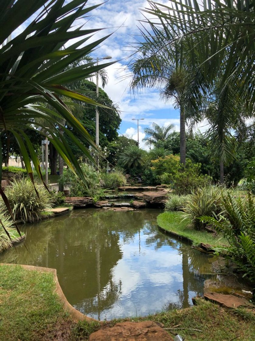 Place Parque do Sabiá Uberlândia