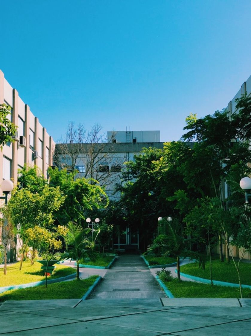 Lugar IFSul - Instituto Federal Sul-rio-grandense Campus Pelotas