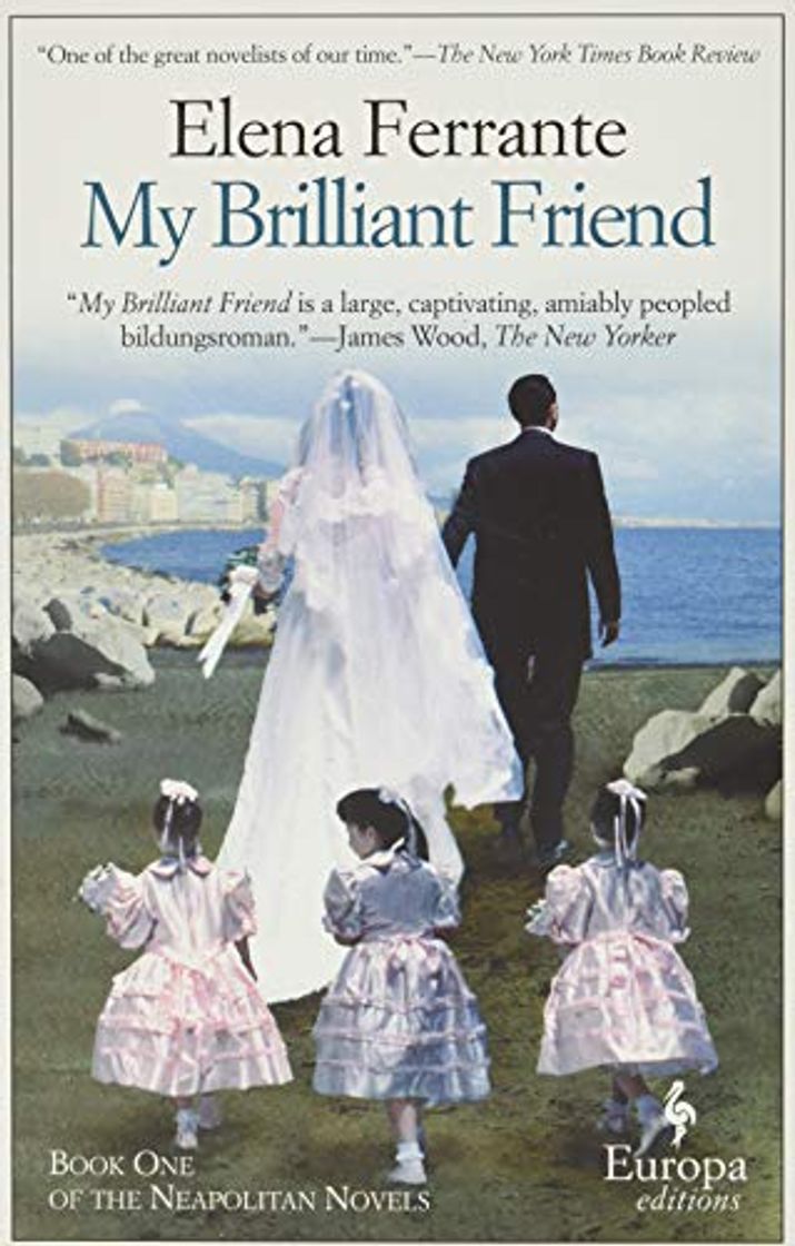 Libro My Brilliant Friend: 1