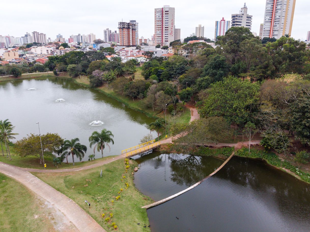 Place Parque Central