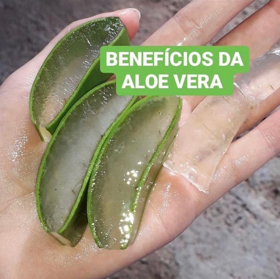 Moda BABOSA ( aloe vera) 