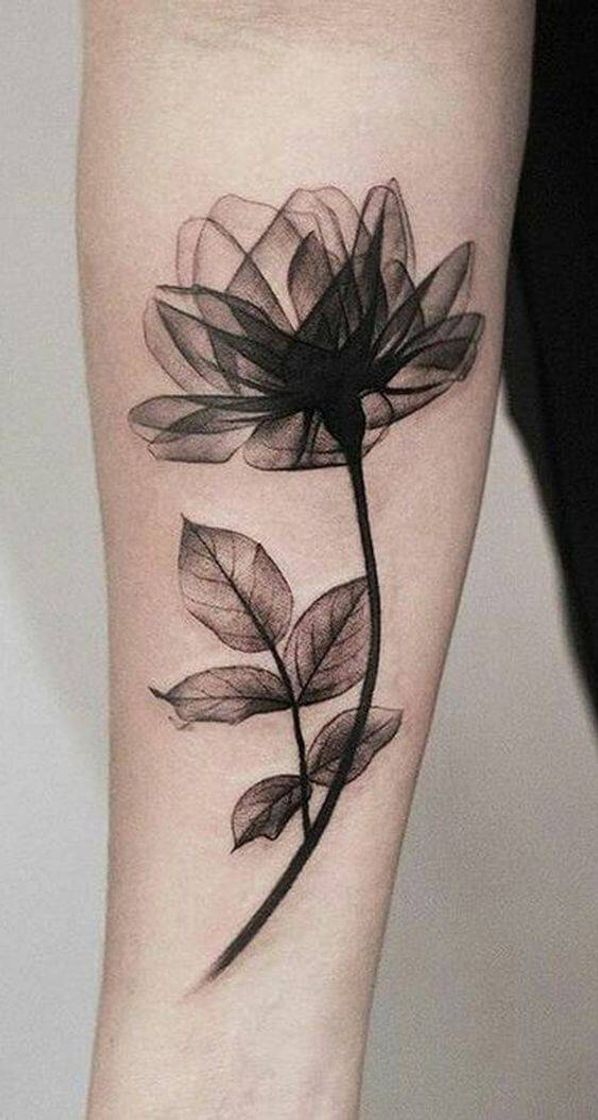 Moda Tattoo