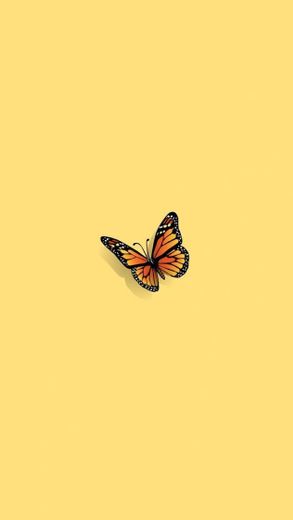 Butterfly background 🦋