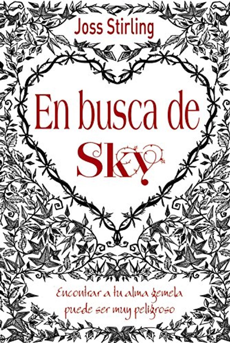 Book Almas gemelas, 1. En busca de Sky