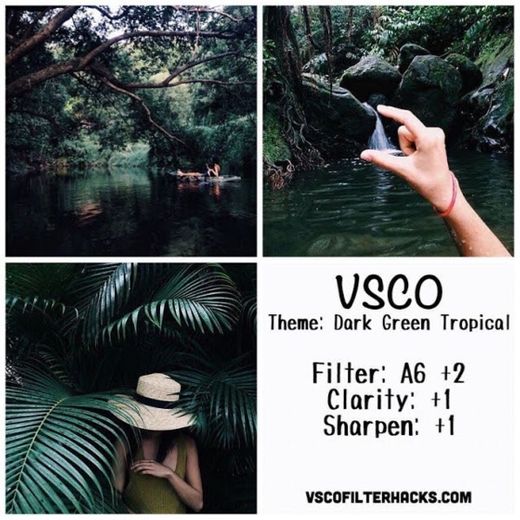 Dark green tropical