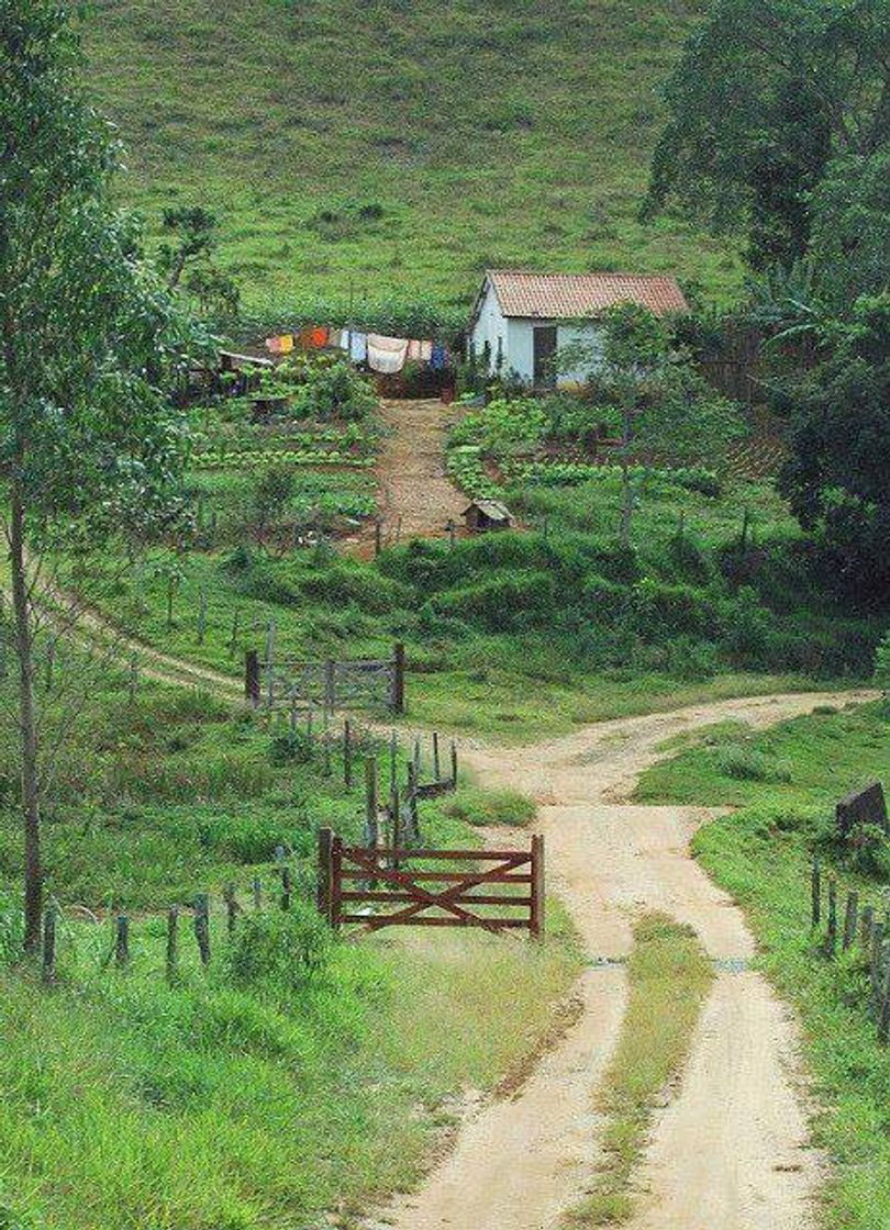 Moda Lindo 🍂🌳