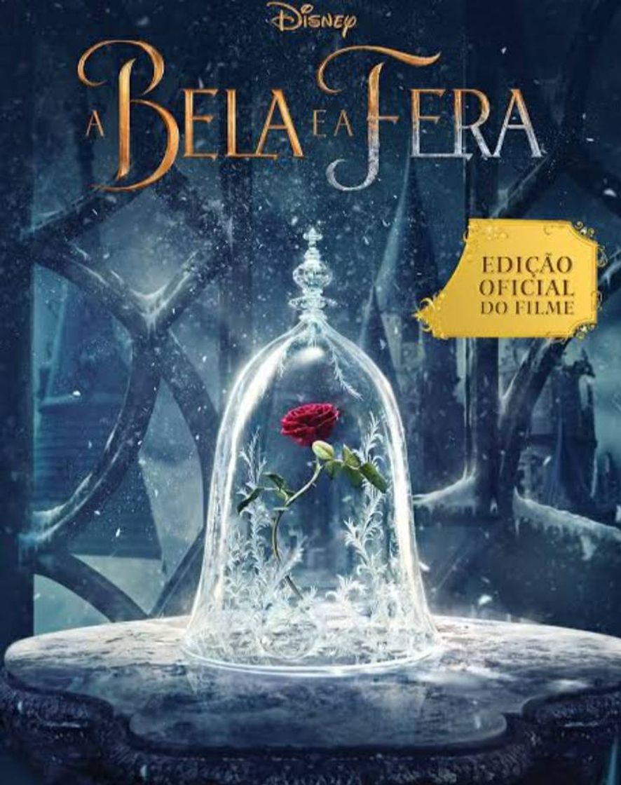 Book Livro A Bela E A Fera