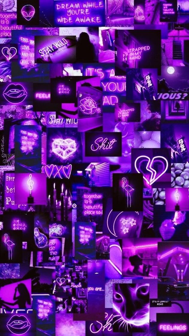 Moda wallpaper roxo