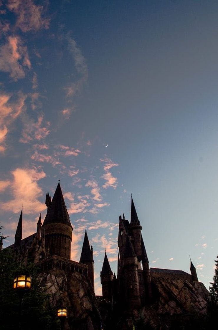 Social Wallpaper Harry Potter 