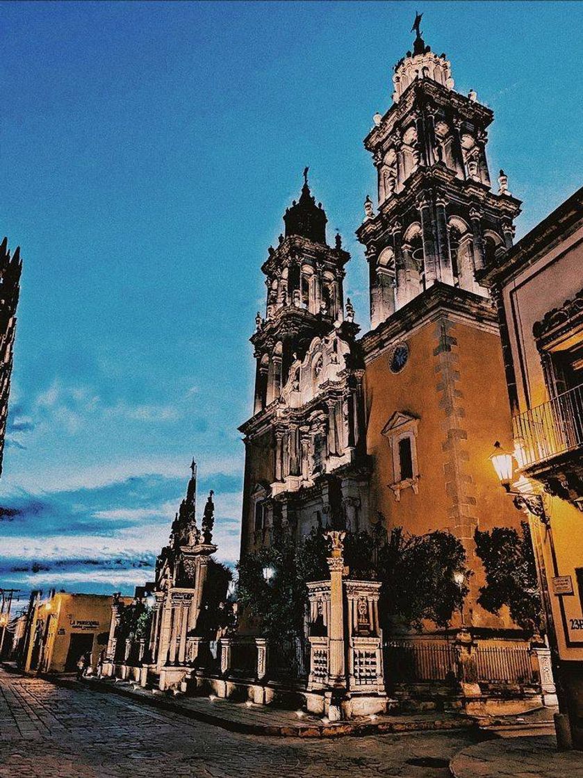 Place Jerez de García Salinas