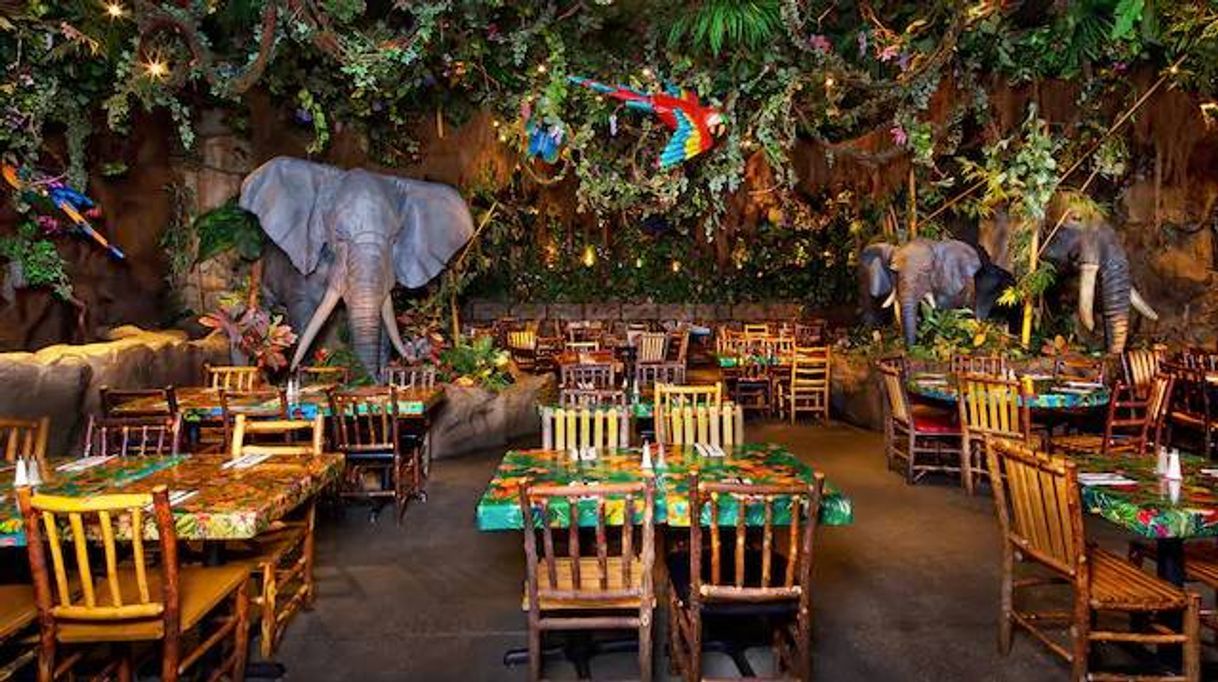 Restaurants Rainforest Cafe