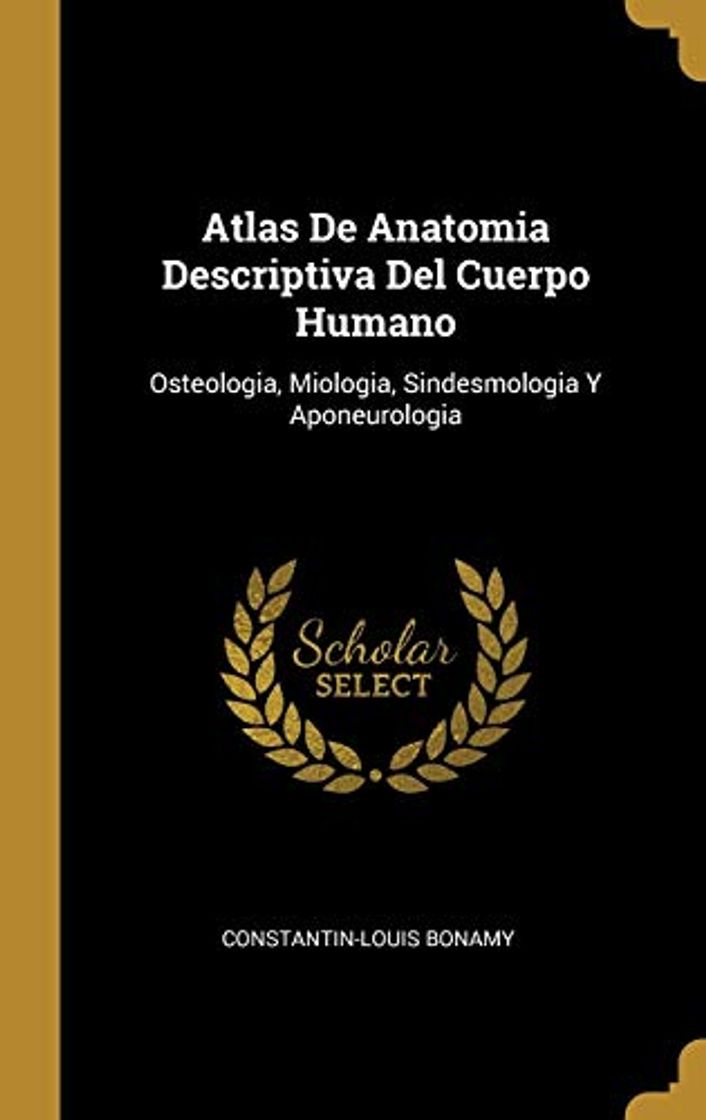 Books Atlas De Anatomia Descriptiva Del Cuerpo Humano: Osteologia, Miologia, Sindesmologia Y Aponeurologia