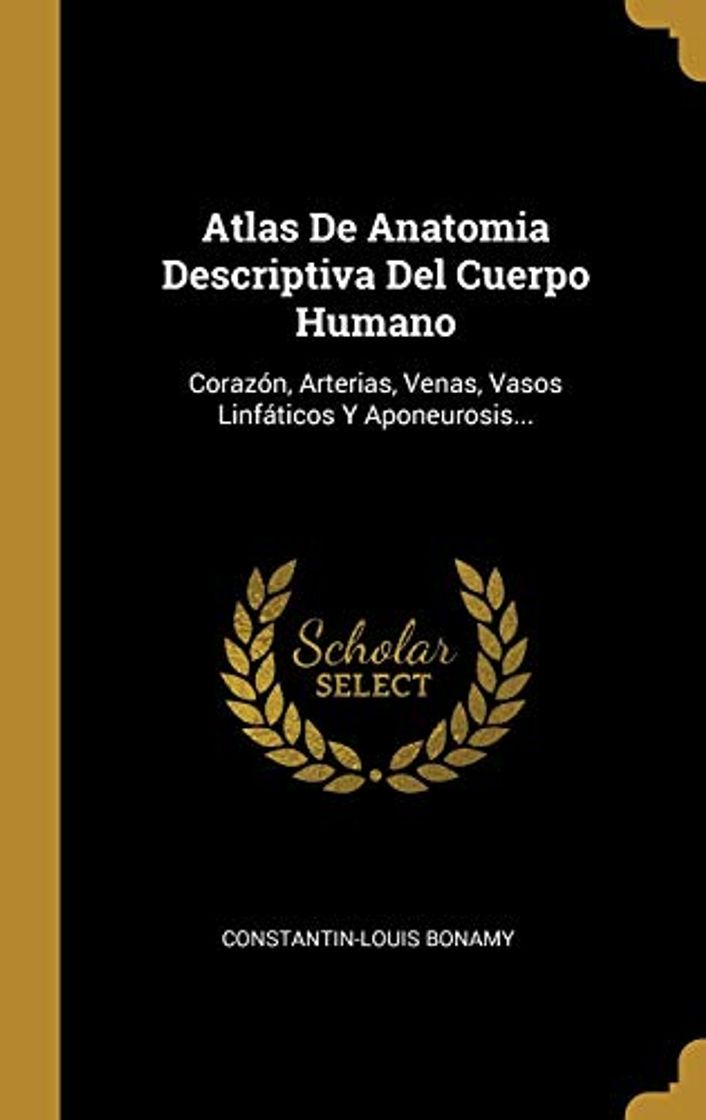 Books Atlas De Anatomia Descriptiva Del Cuerpo Humano: Corazón, Arterias, Venas, Vasos Linfáticos