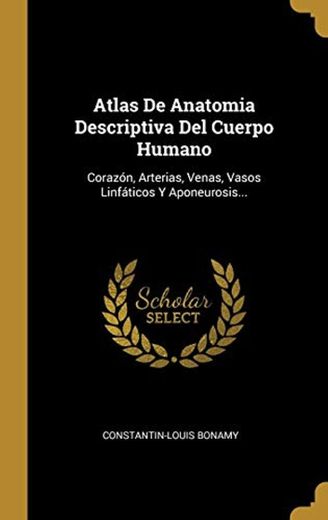 Atlas De Anatomia Descriptiva Del Cuerpo Humano: Corazón, Arterias, Venas, Vasos Linfáticos