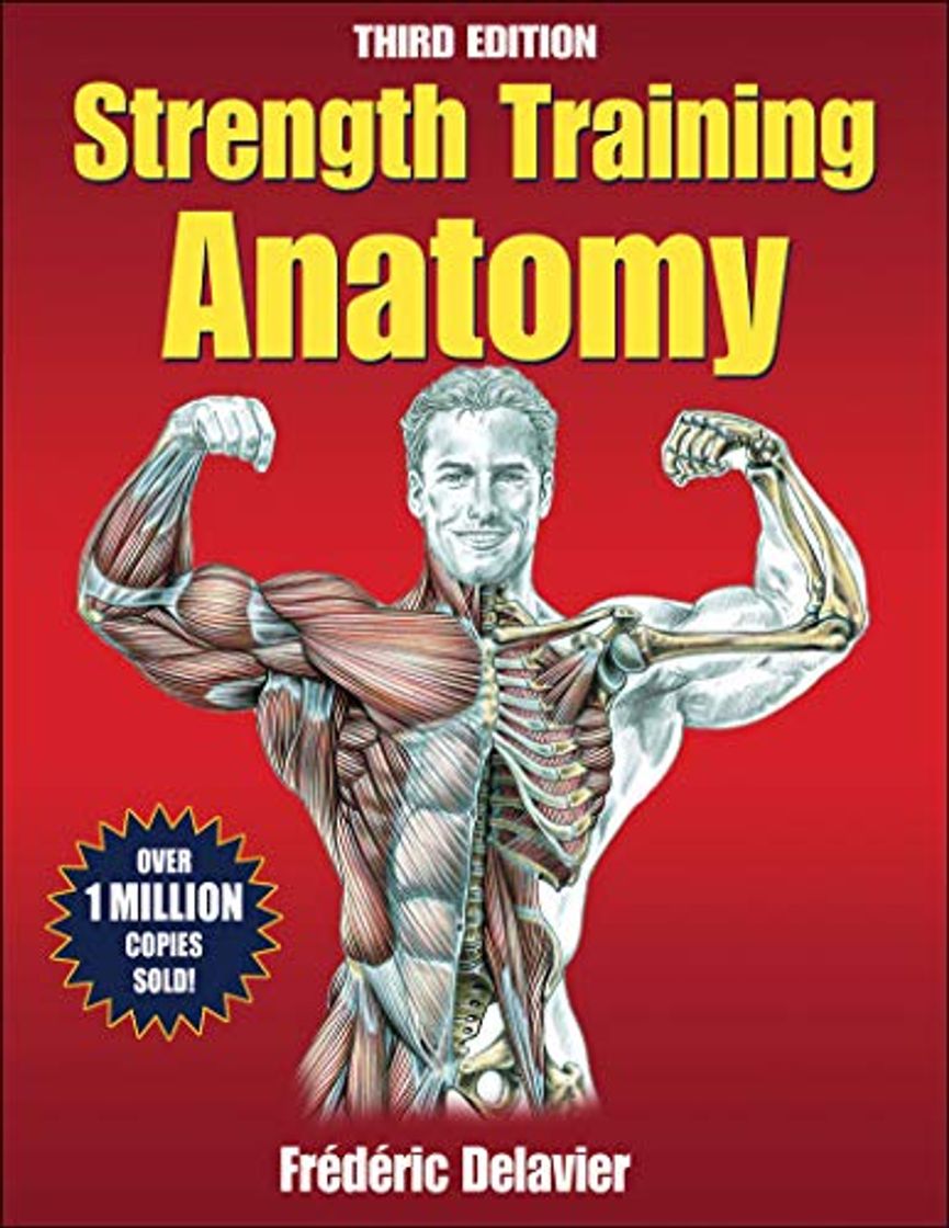 Places Strength Training Anatomy