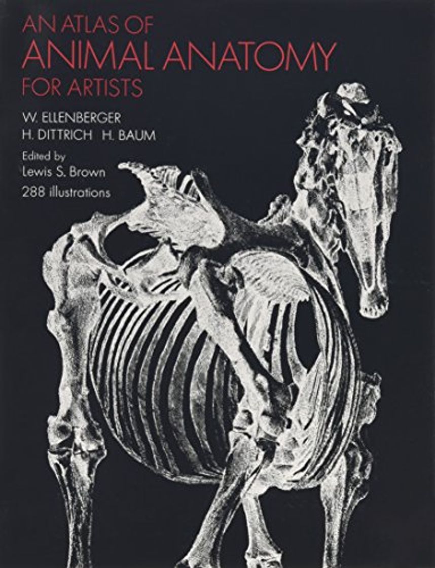 Libros An Atlas of Animal Anatomy for Artists