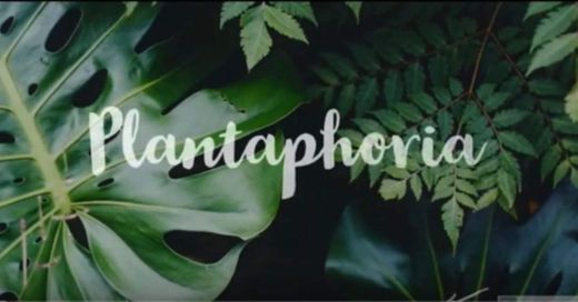 Plantophoria