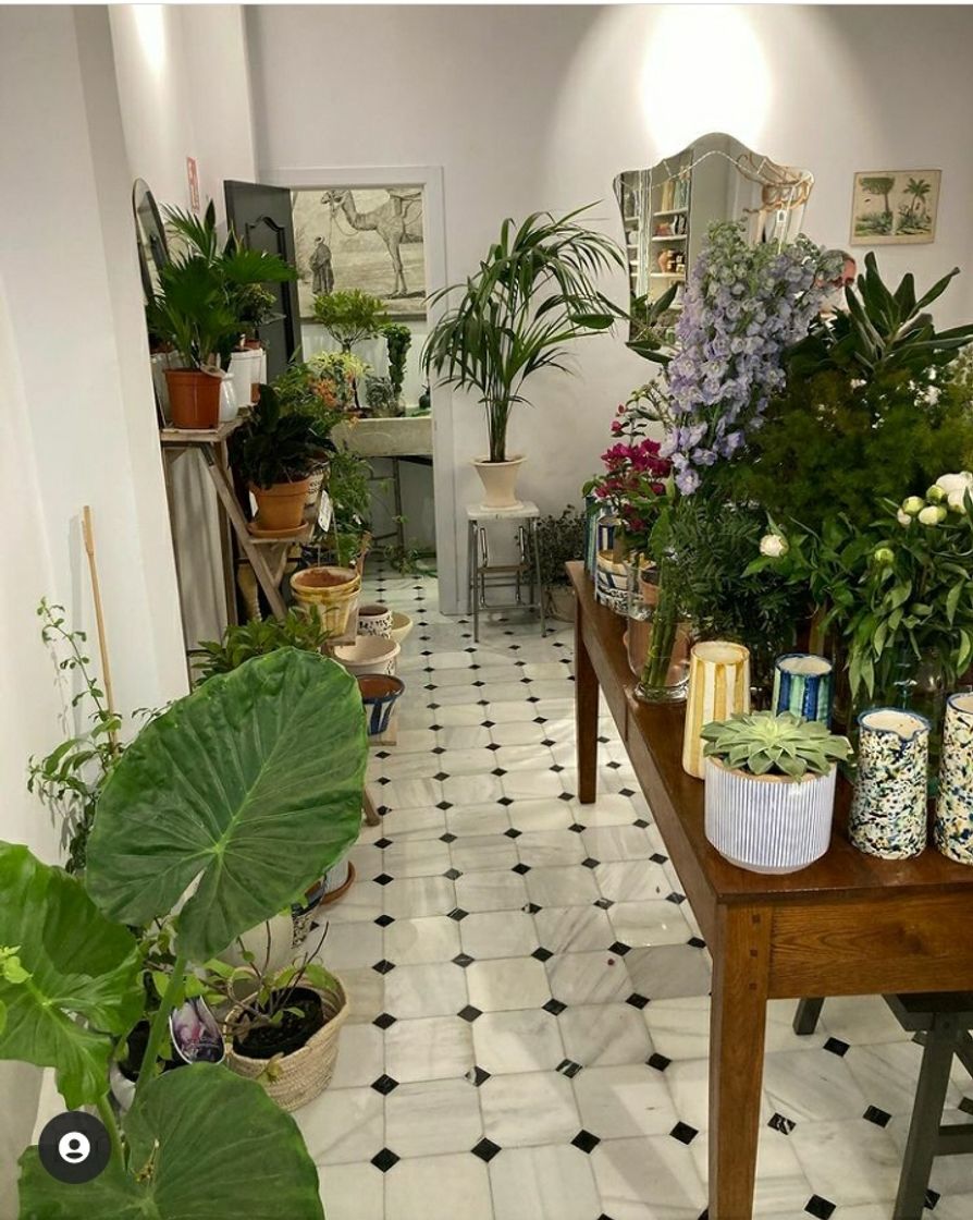 Place Casa Herbarium