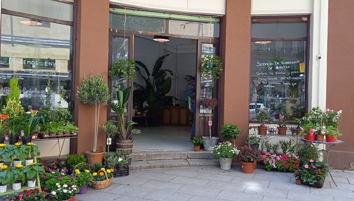 Place Plantas luego existes