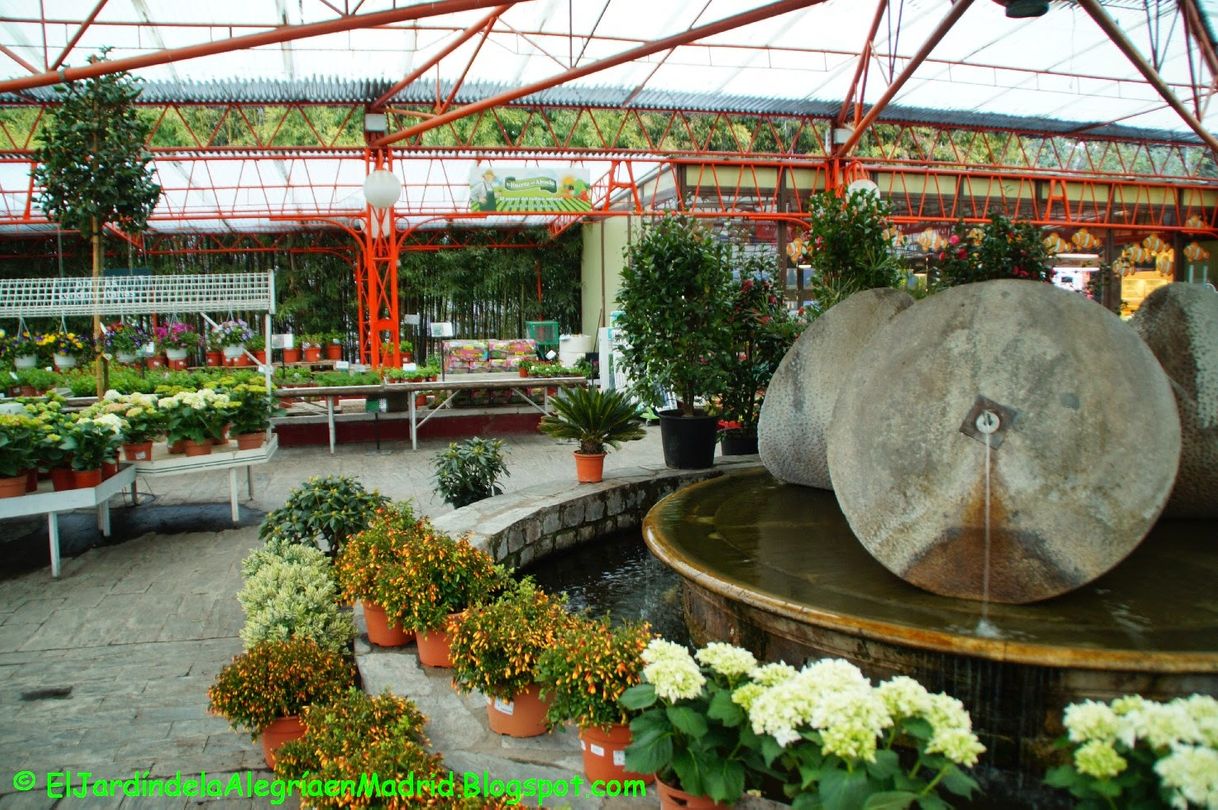 Place Los Peñotes