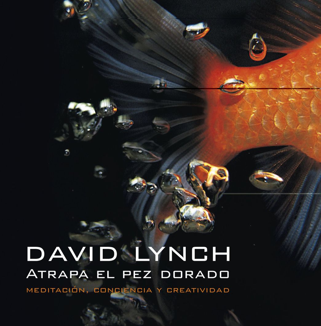 Libro David Lynch (Atrapa el pez dorado)