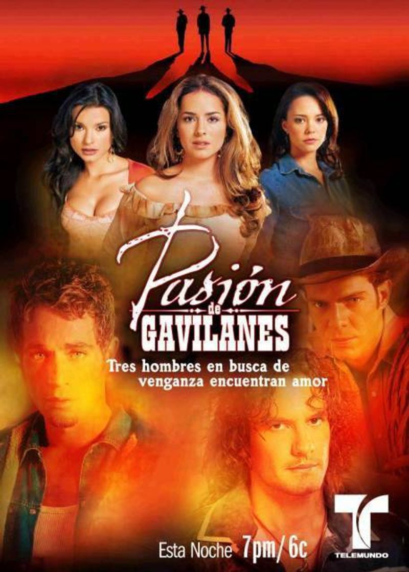 Serie Pasión de gavilanes