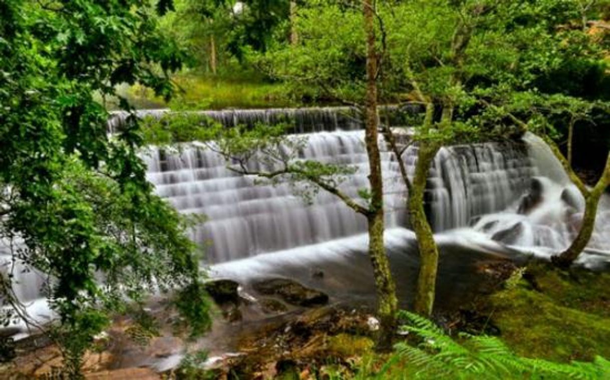 Lugar Paseo Dos Namorados