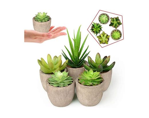 Jobary 5pcs Plantas Suculentas Artificiales Falso Plantas Decorativas Suculentas，Ideal para el Hogar