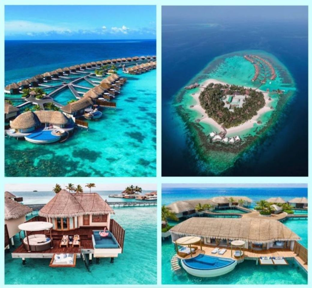 Place W Retreat Spa Maldives