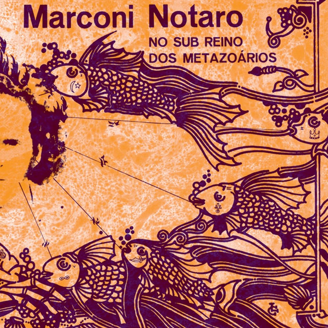 Music Anthropologica - No. I