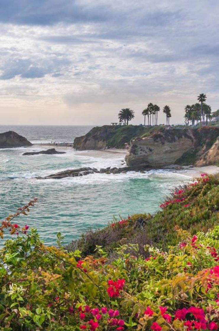 Place Laguna Beach