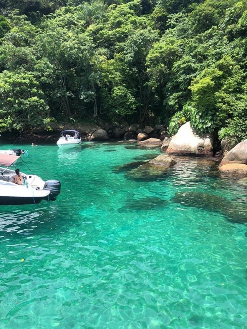 Restaurantes Ilha dos Cocos