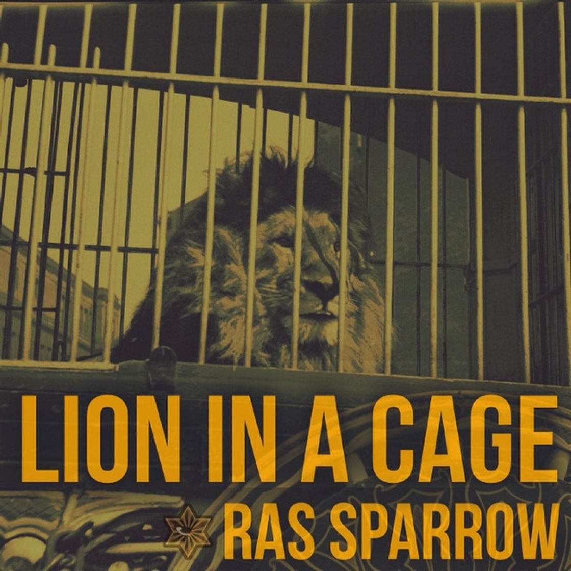 Canción Lion in a Cage