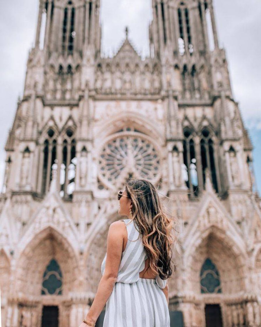 Place Catedral de Notre Dame Paris 