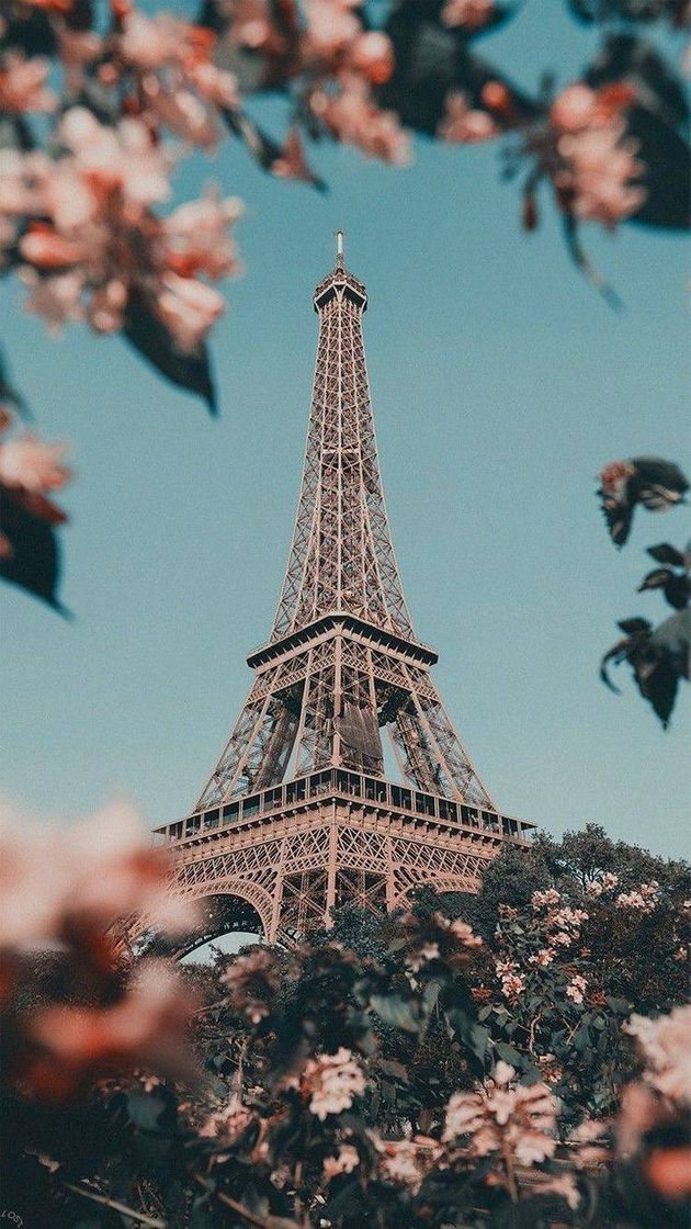 Moda Wallpaper tumblr torre eiffel