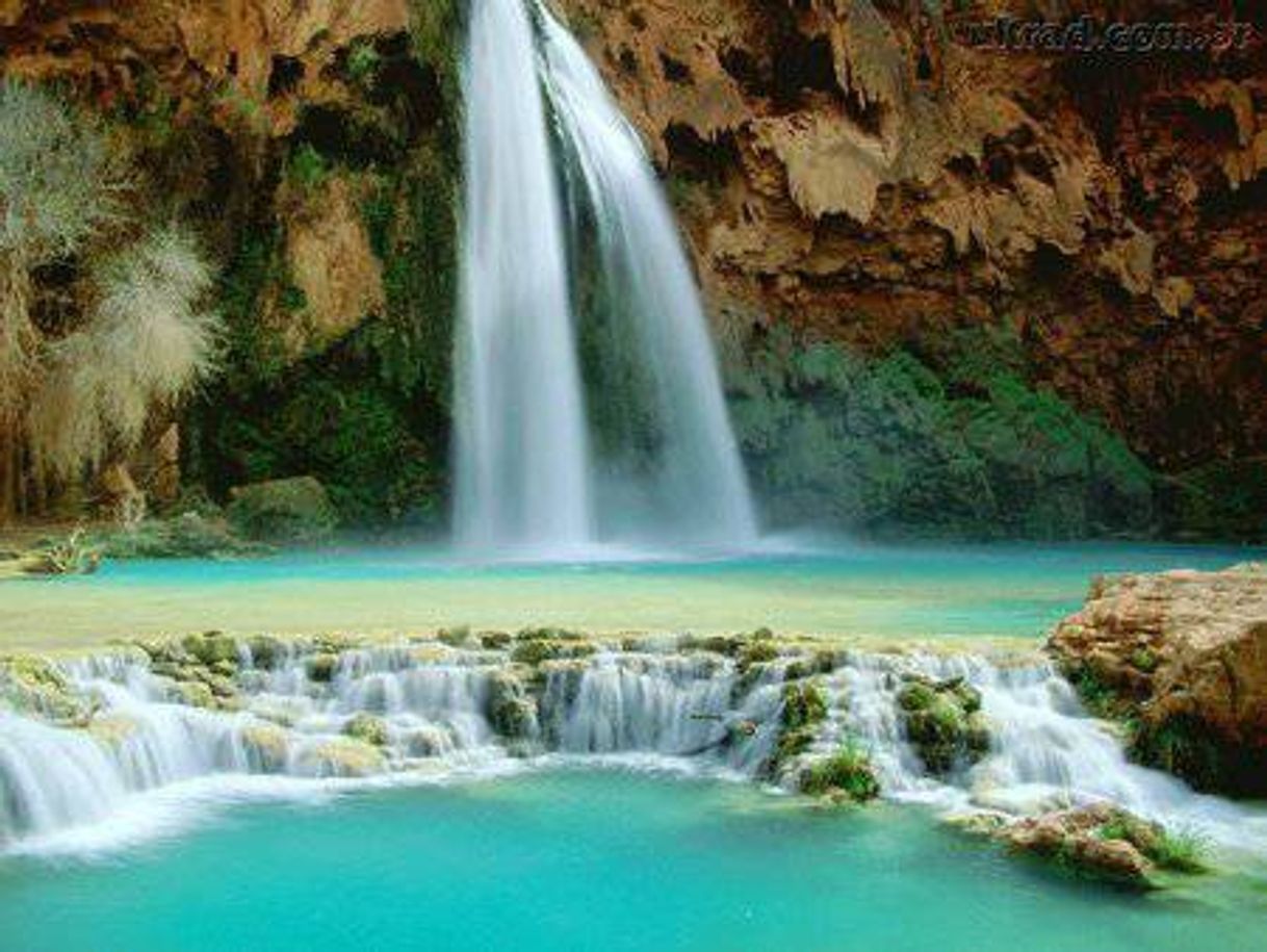 Places Havasu Falls