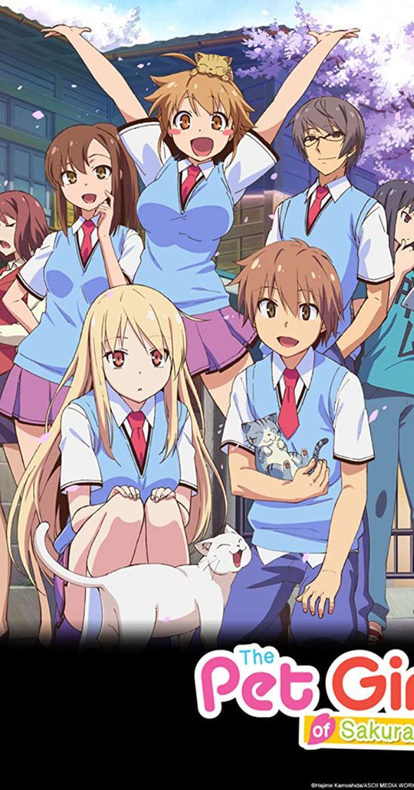 Moda Sakurasou no Pet na Kanojo