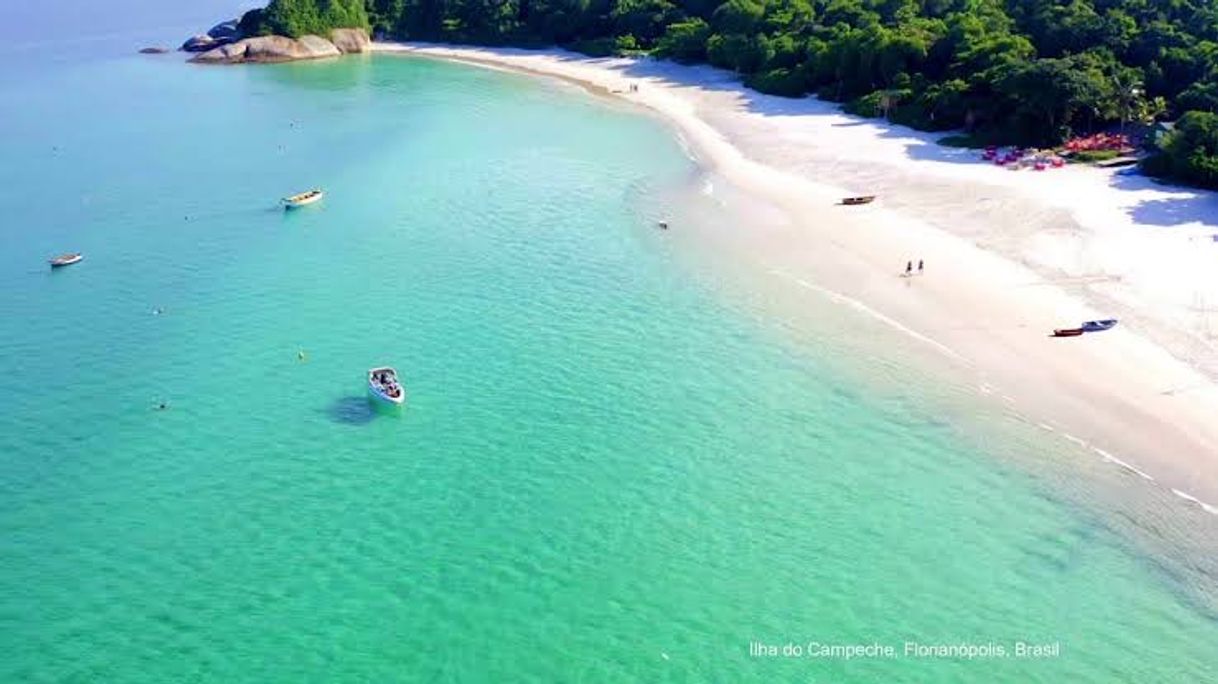 Moda Ilha do campeche 