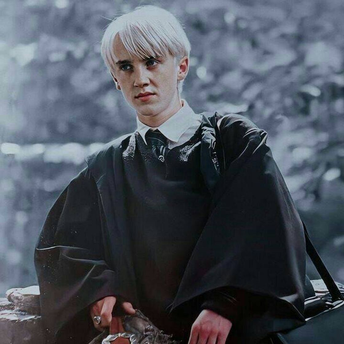 Fashion Draco