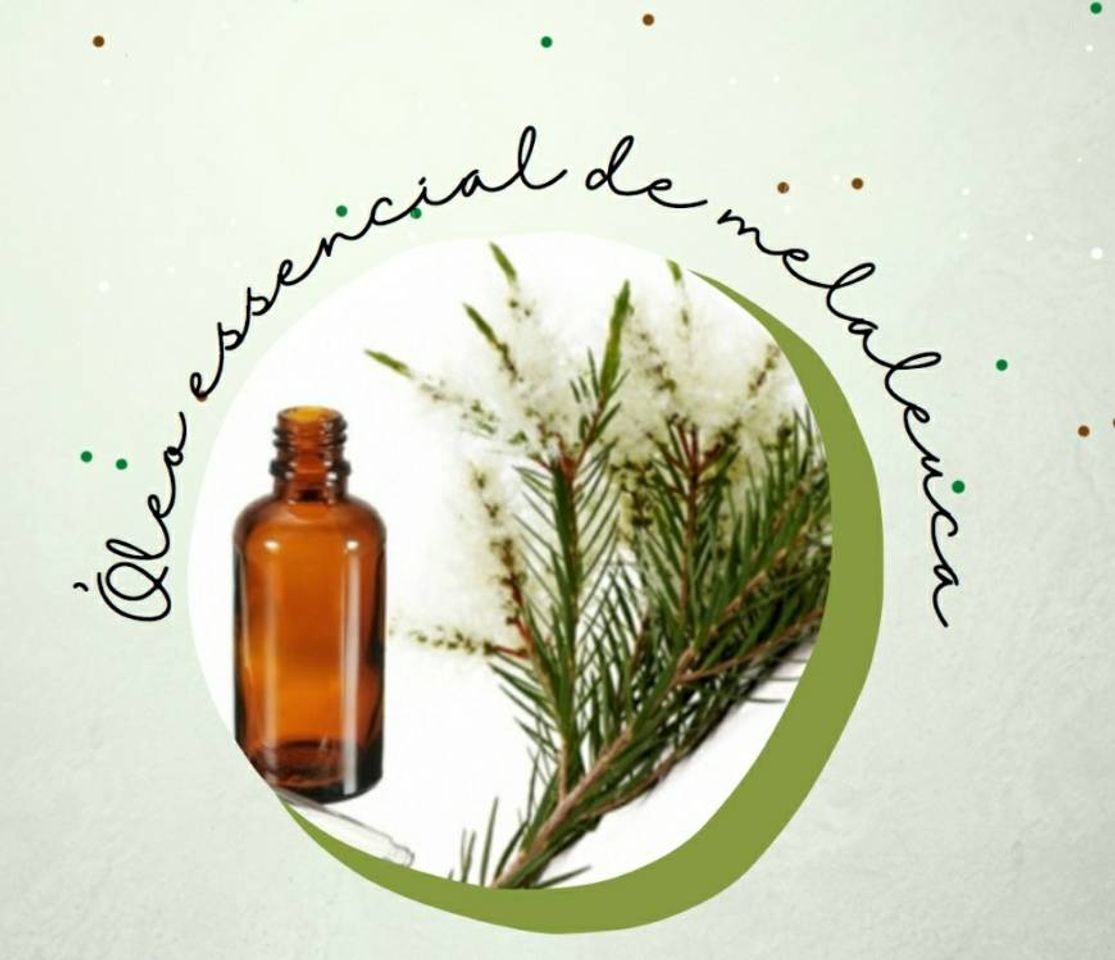 Product Óleo de melaleuca 